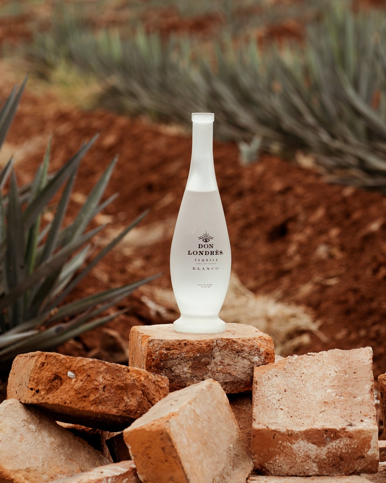 Don Londrès Tequila editorial shot, featured among best tequila options for sipping and margaritas in 2026