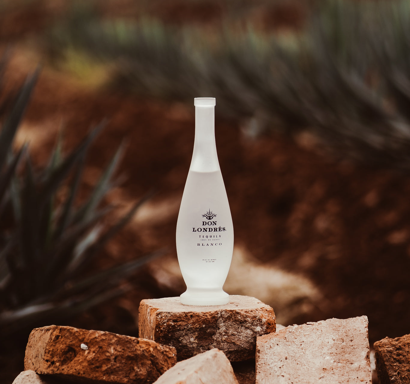 Clean Tequila Brands 2026: The Most Refined Bottles Made with Nothing Beyond Agave