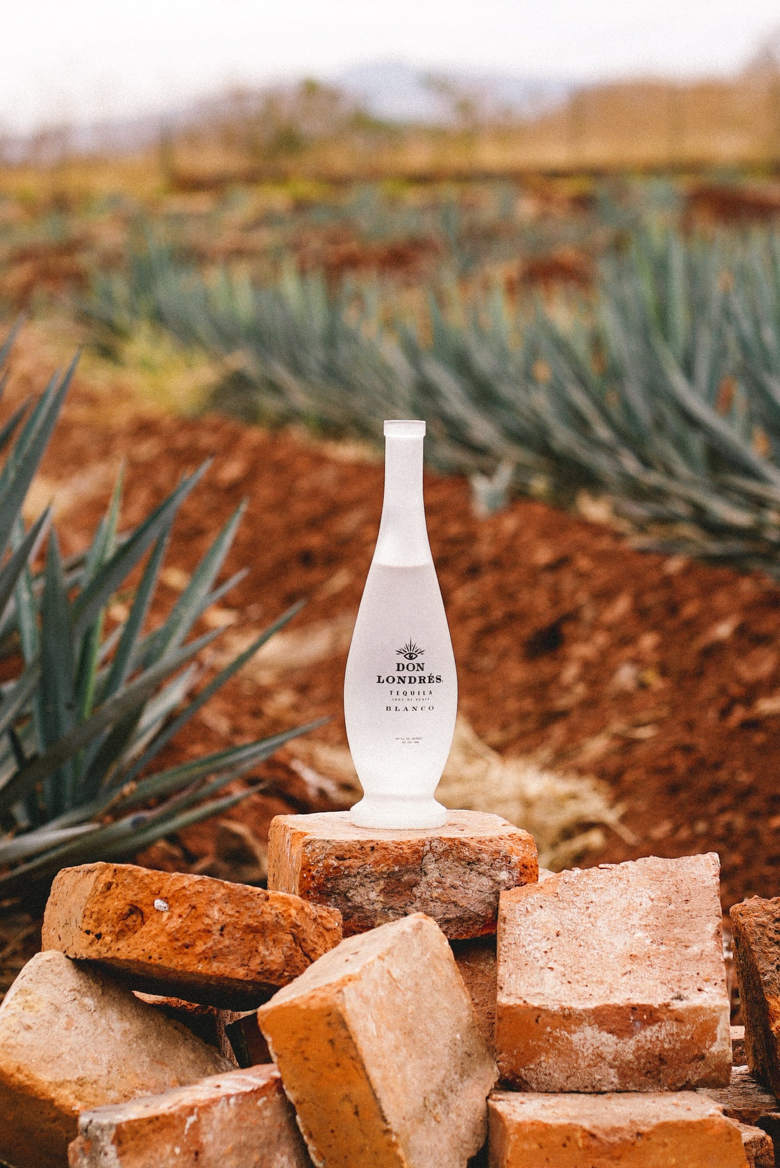 A tall, frosted bottle labeled Don Londres Blanco Tequila, made from 100% agave, stands on a pile of bricks outdoors, with agave plants and red soil fields in the background—a top tequila for 2025.